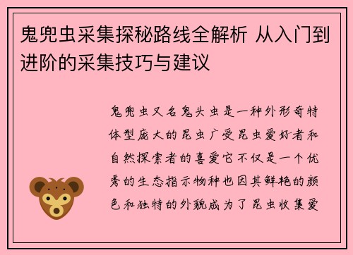 鬼兜虫采集探秘路线全解析 从入门到进阶的采集技巧与建议